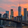 Image 6: NYC Cruises: Sightseeing & Sunset Tours from Manhattan