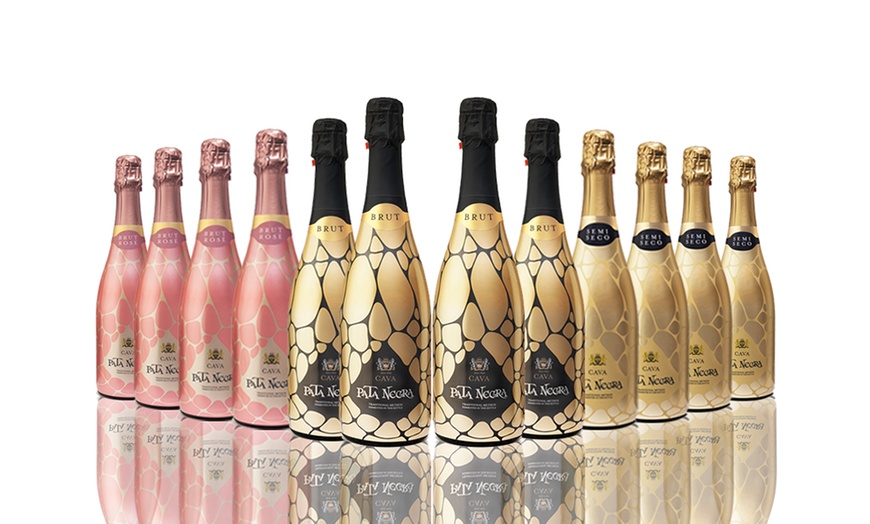 Image 1: 12 Bottles of Cava