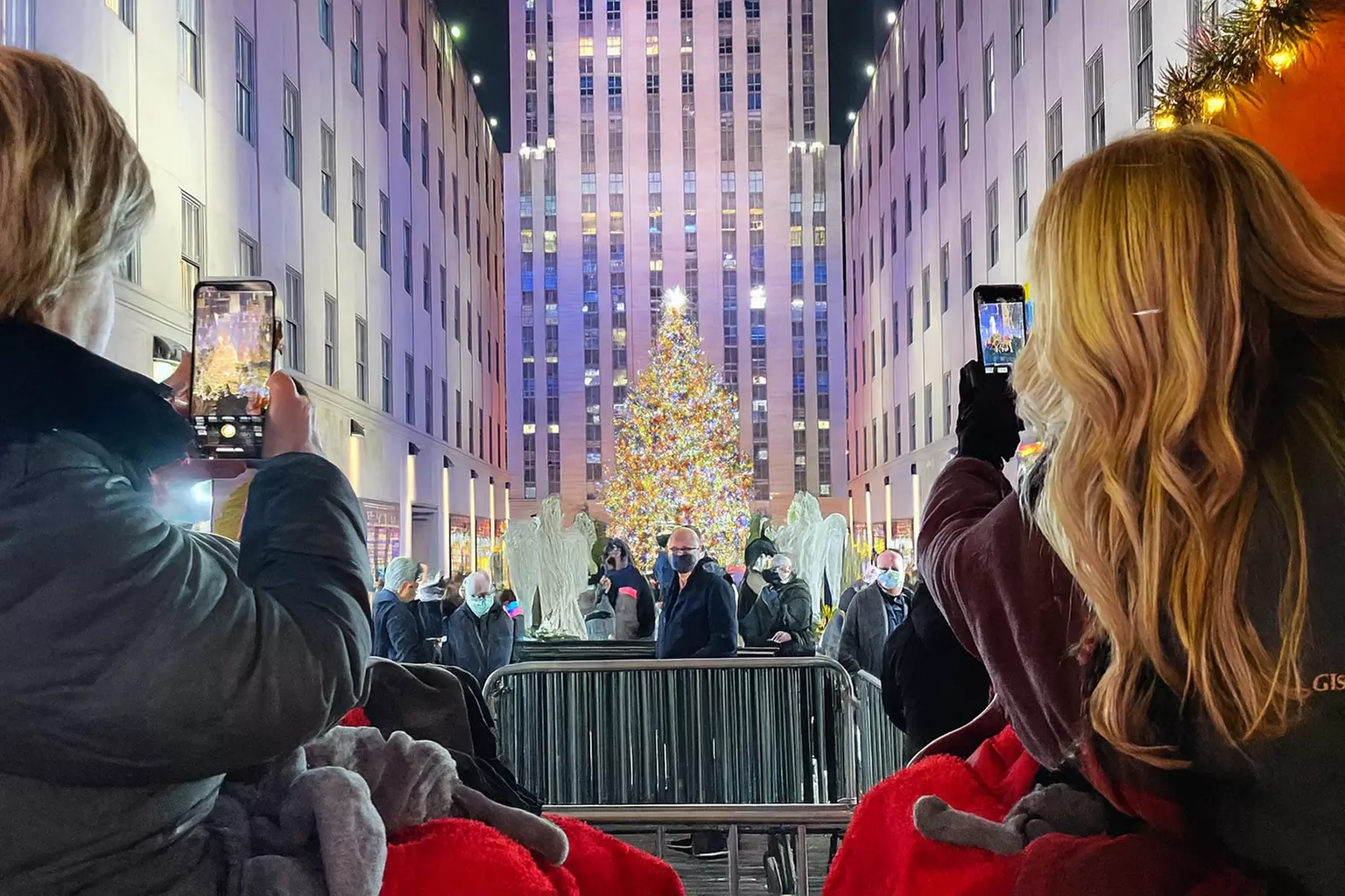 VIP Holiday Lights and Sightseeing Carriage Ride through New York City