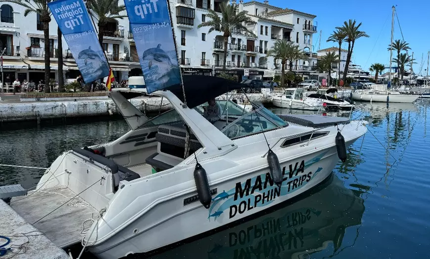 Image 8: Paseo en barco con avistamiento de delfines y bebida para 1 