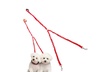 Waloo Pets Double Dog Bungee Dog Leash - Second Medium