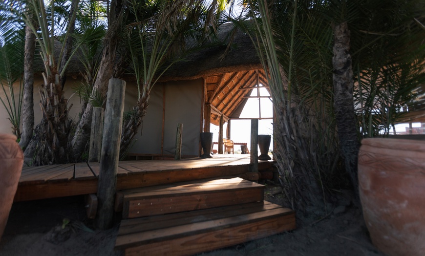 Image 10: Zimbabwe: 7-Night Yoga & Safari Retreat