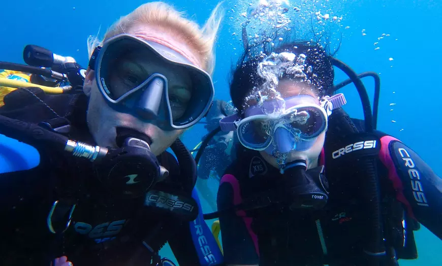 Image 2: Bautismo de buceo para 1 o 2 personas con material, fotos y vídeos