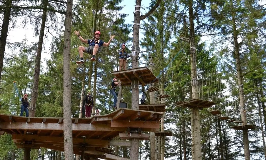 Expérience accrobranche en forêt pour enfant et adulte