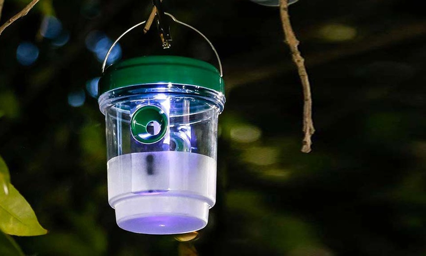 Image 6: Solar Insect Trap: Mosquitoes & Wasps