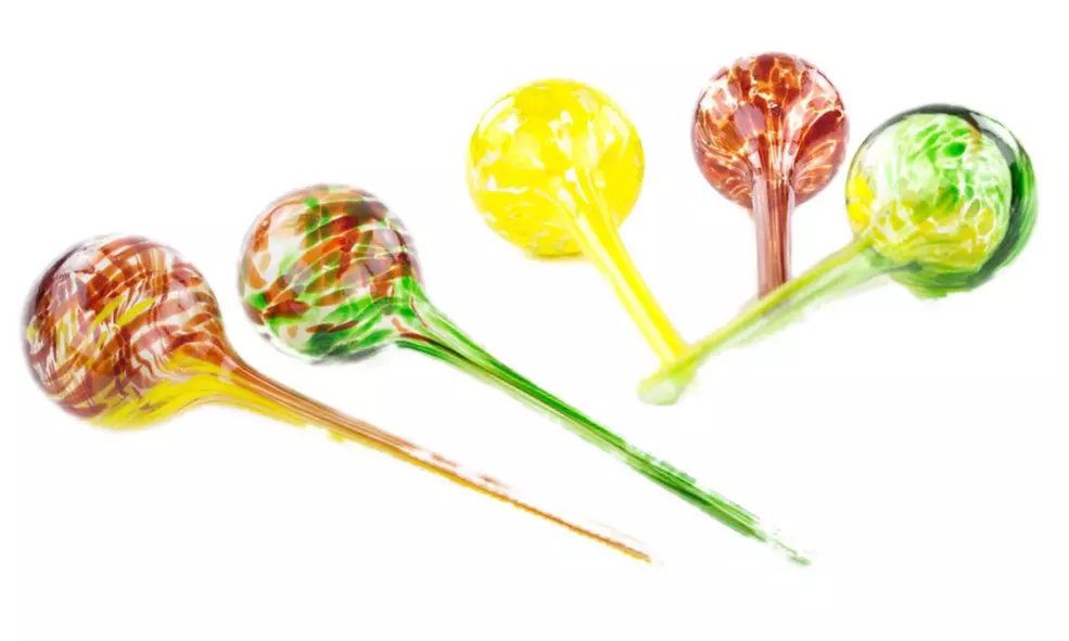 Indoor/Outdoor Plant Self-Watering Globes (Multi Pack)