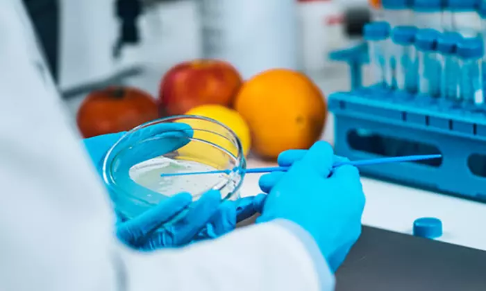 Discover Potential Food Sensitivities and Thyroid Issues at Home at Lab Testing API (Up to 62% Off) - Primary Image