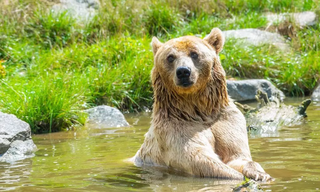 Offrez(-vous) une journée inoubliable au Zoo d'Amnéville