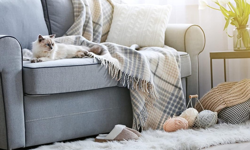 Image 2: 1, 2 o 3 spray con azione insetticida e acaricida Frontline Homegard