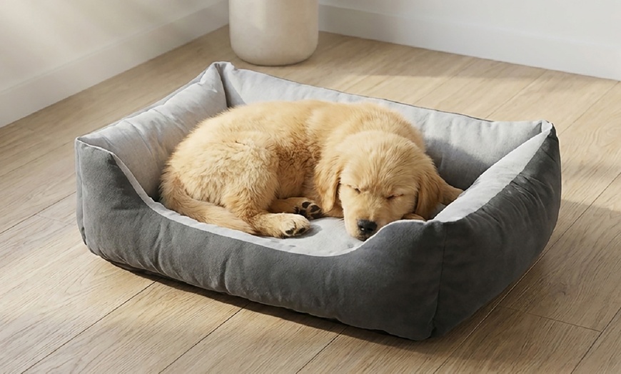 Image 2: Complete hondenverzorgingsset