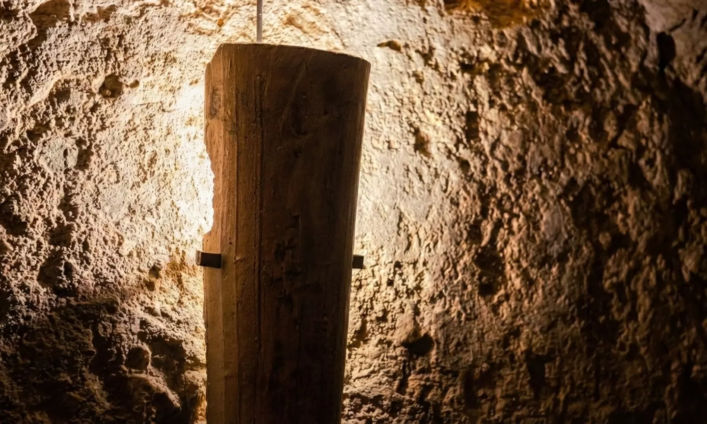 Visita guiada a bodega con cata de vinos para 2, 4 o 6 personas