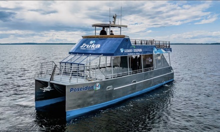 3-Hour Oahu Catamaran Dolphin Watch - For 1 Child (Ages 3-11) - Iruka Hawaii Dolphin