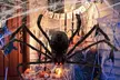 4FT Halloween Hairy Spider Realistic Hanging Prop Decoration Party Yard Decor - Second Medium