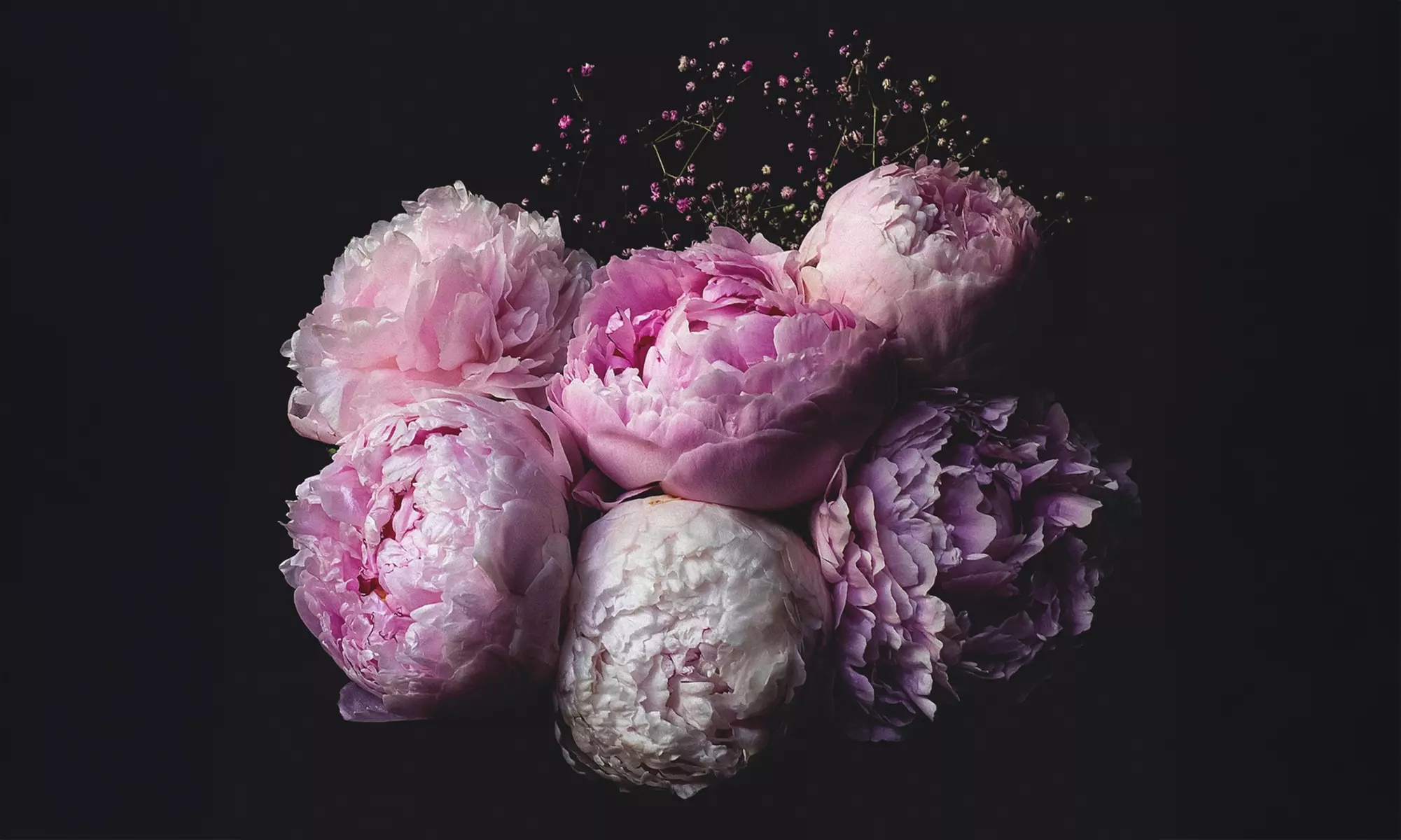 One or Two Deluxe Blowout - 60 Min, One Shampoo, Conditioner & More