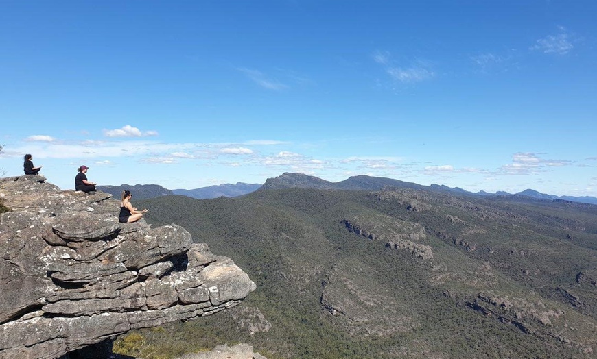 Image 2: Great Ocean Road or Phillip Island Penguin & Koala Day Guided Day Tour