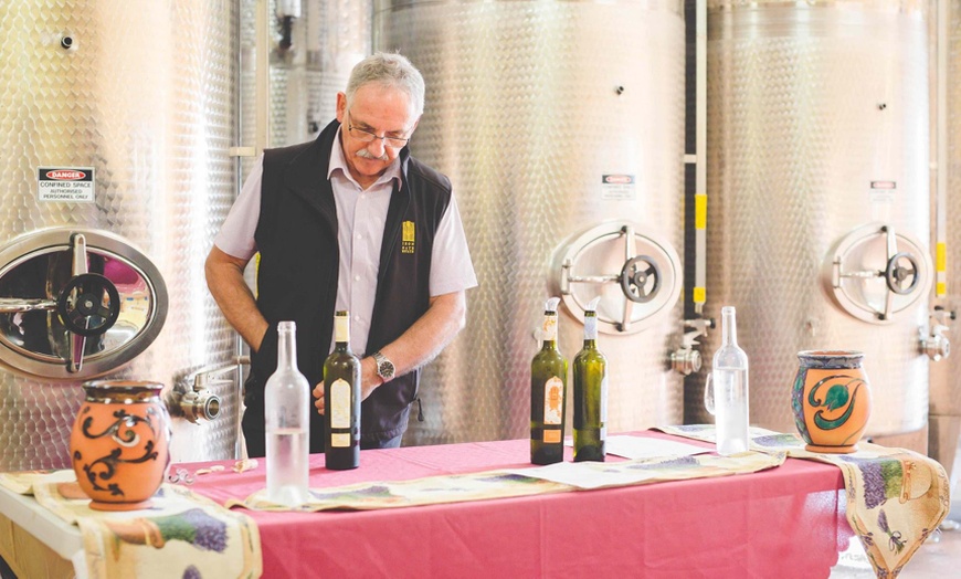 Image 11: Blue Mountains or Hunter Valley Tour: Wildlife, Wine & Scenic Wonders!