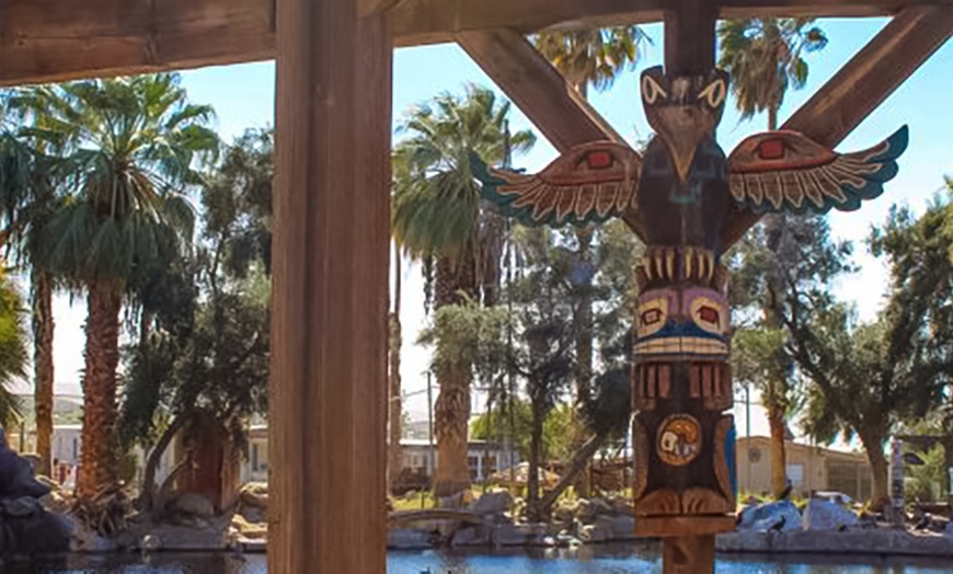 Image 9: Chlorine-Free Mineral Pool Any-Day Passes for One, Two or Four 