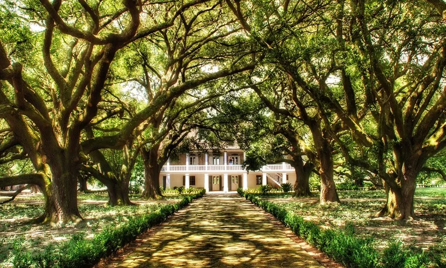 Image 11: Up to 21% Off Historic New Orleans Plantation Tours