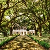 Image 11: Up to 21% Off Historic New Orleans Plantation Tours