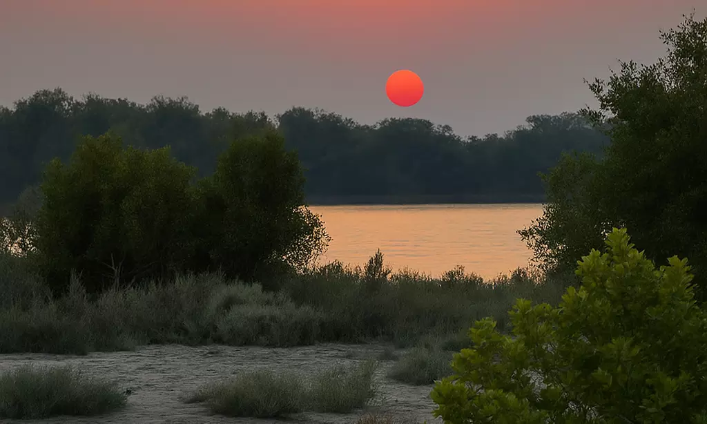 Private Island Party with Breathtaking Skyline Views for 12 Guests!