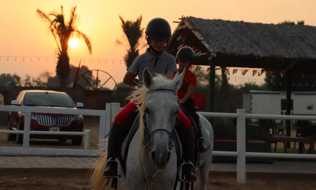 Ride Through Desert Beauty with Horseback Hacks & Arena Lessons