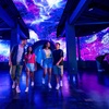 Image 4: Summer Sale! SeaWorld Tickets, Fun Cards & More! 77% Off
