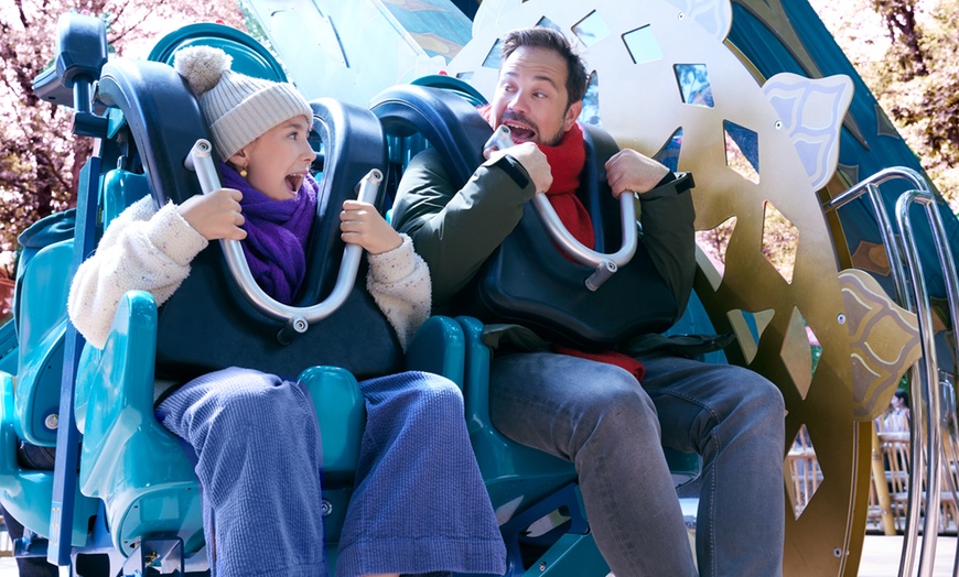 Image 9: Eintrittskarte für 1 Erwachsenen oder 1 Kind für den Bellewaerde Park