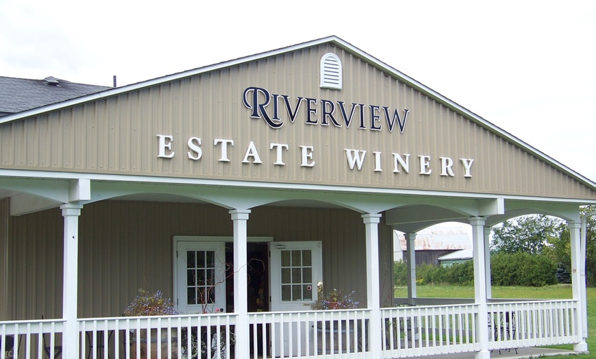 Image 6: Full Day Niagara Wine Tour with Transportation for Up To Four People