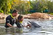 Experience Unforgettable Animal Encounters & All-Inclusive Luxury at Discovery Cove, Orlando's #1 Theme Park - Second Medium