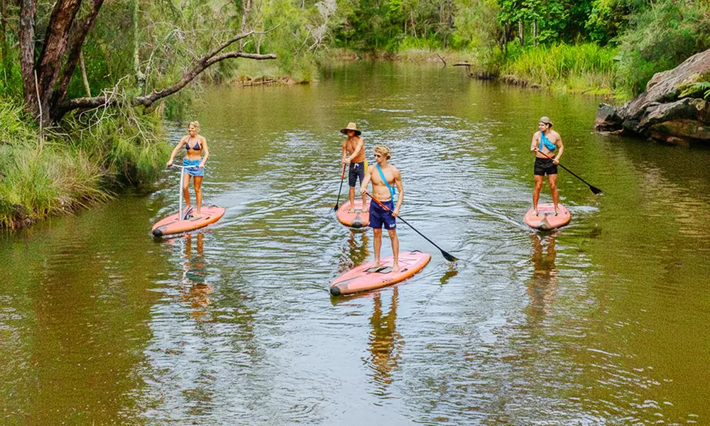 Ticket to Narrabeen Sup Creek Tour for Up to 11 People