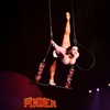 Image 3: Le Grand Cirque Pinder est enfin de retour