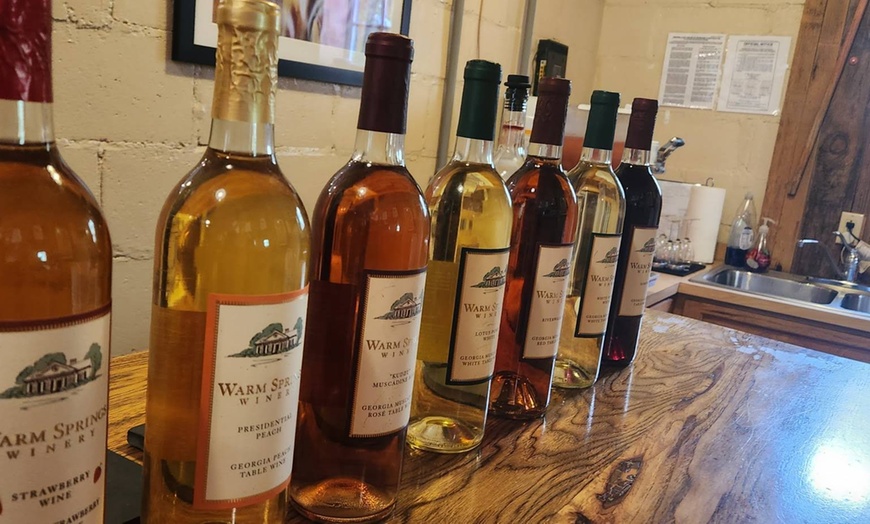 Image 12: Wine Making Experience + 2-Hour Guided Vineyard Tour
