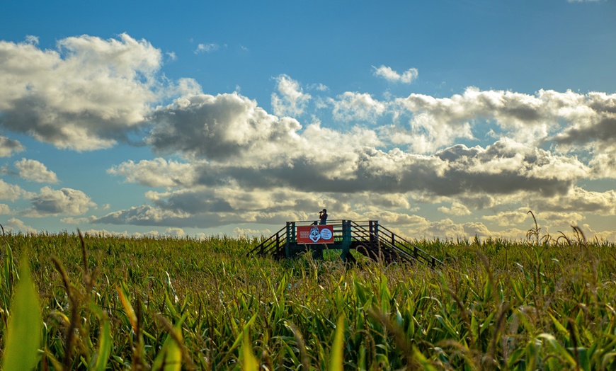 Image 12: Edukacja i rozrywka w sielskiej atmosferze: bilet na Farmę Alexa