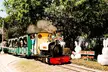 Cottontail Express: Ticket for 1, 2 or 4 People for (Valid for March 29 - 30 and Apr 6, 12, 13, 17, 18 & 19 - Second Medium