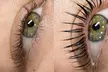 Transform Your Look with A Choice of Classic Lashes or Lash Lift Or Brow Lamination (Up to 38% Off) - Image 5
