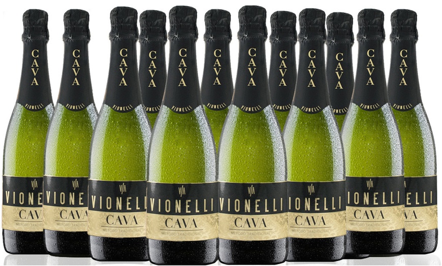 Image 1: 12 Bottles of Spanish Cava