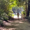 Image 8: SF's WildSide, Redwood & Hike or Golden Gate Park's Hidden Gems Tour
