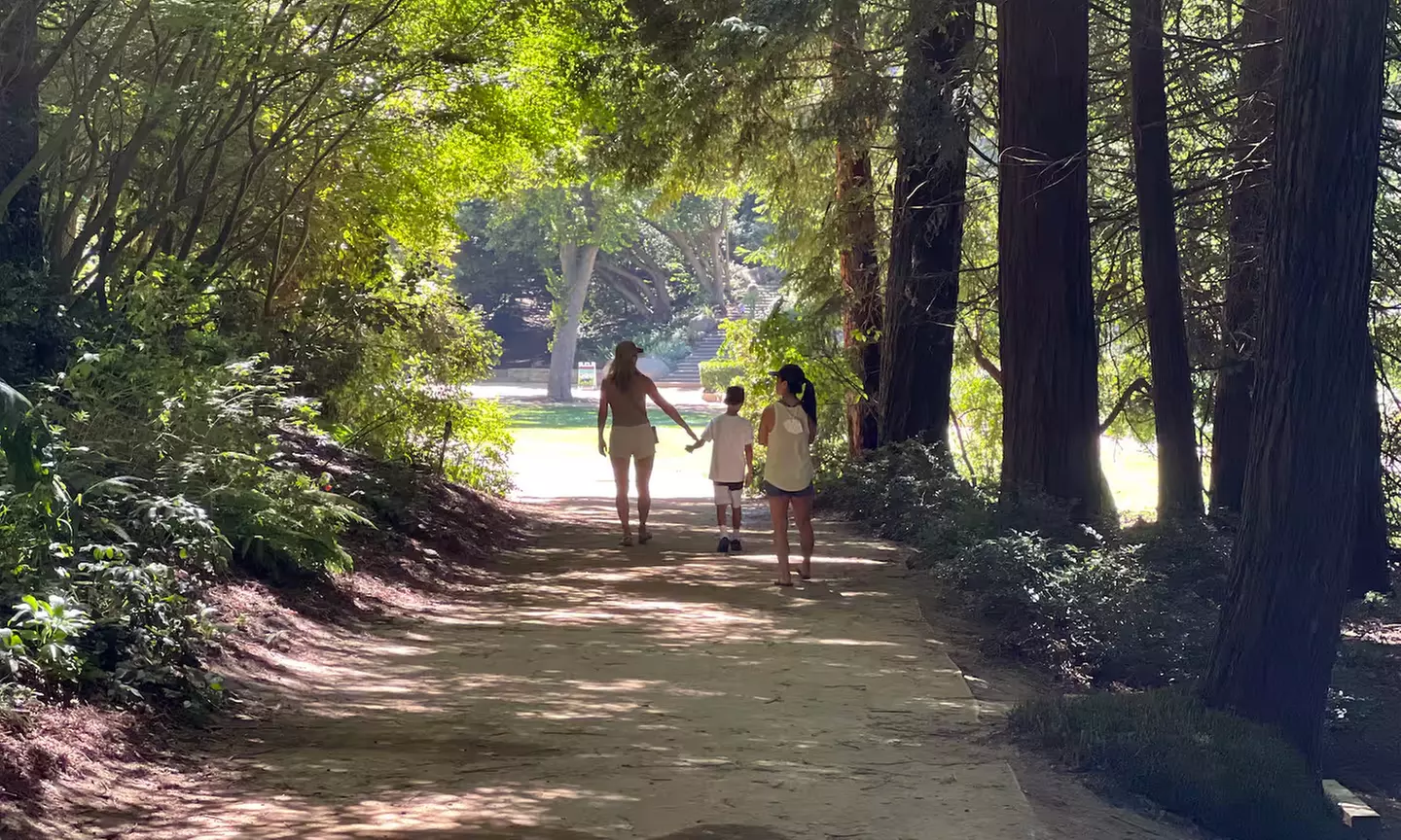 SF's WildSide, Redwood & Hike or Golden Gate Park's Hidden Gems Tour
