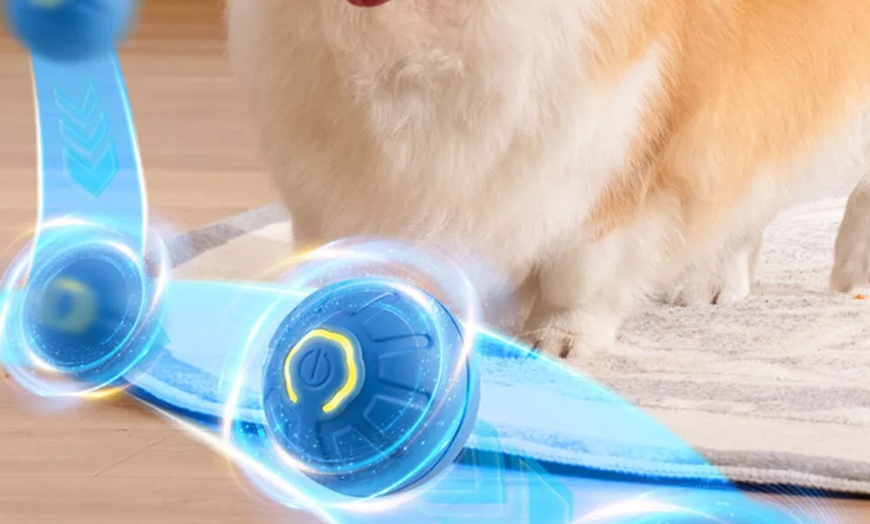 Image 11: Vibrating Ball For Pet