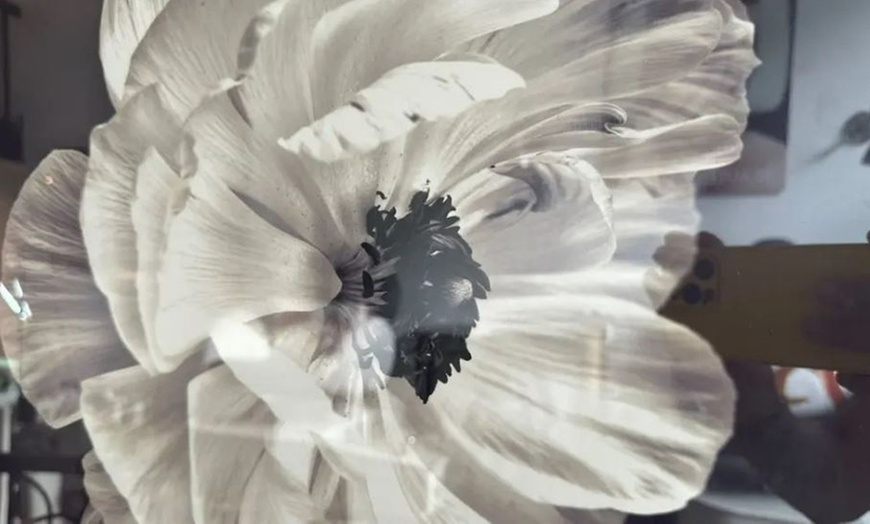 Image 4: 5 séances d’épilation à la lumière pulsée sur une zone au choix