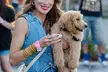 BTX Brewfest 2025 – Craft Beer, Live Music & Local Flavor w/ General Admission for 2-4 People (Up to 42% Off) - Second Medium