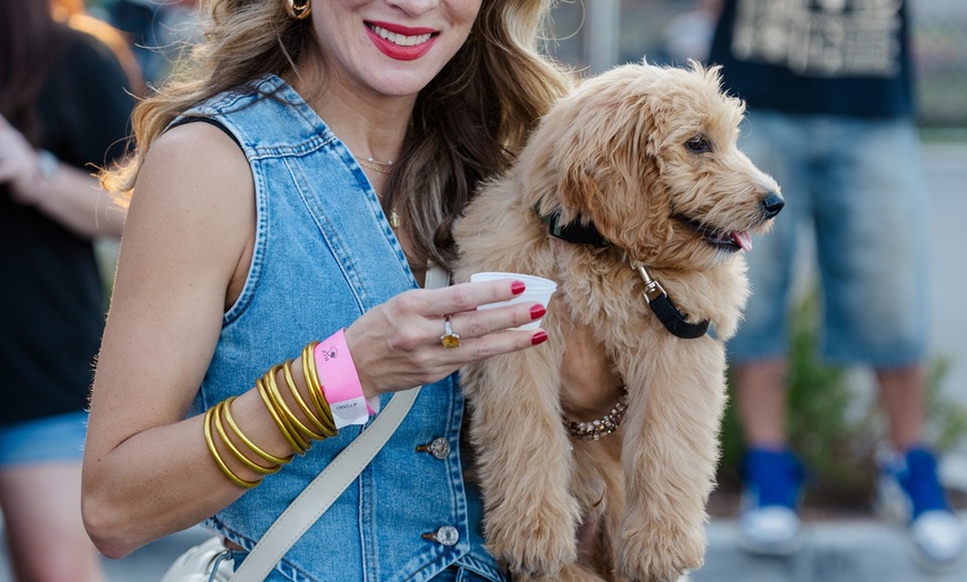 Image 2: BTX Brewfest 2025 – Craft Beer, Live Music & Local Flavor