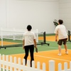 Image 1: 1.5HR Intro to Pickleball for 1-8 people + Paddle and Ball Hire