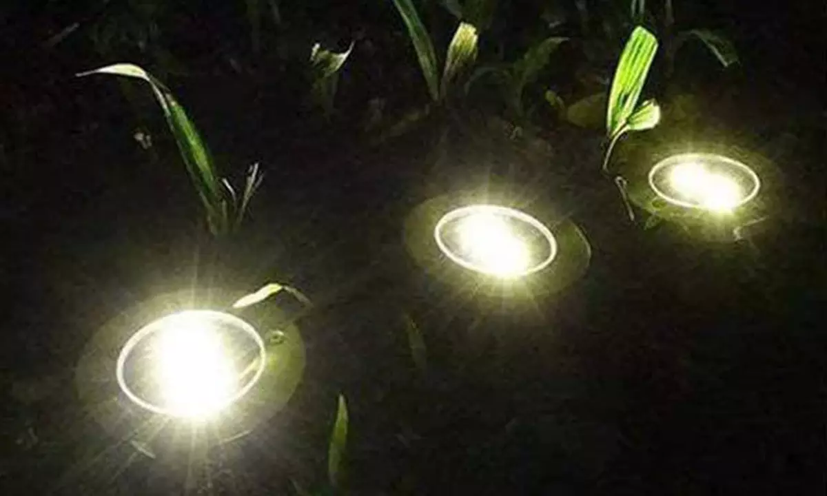 Solar Ground Lights