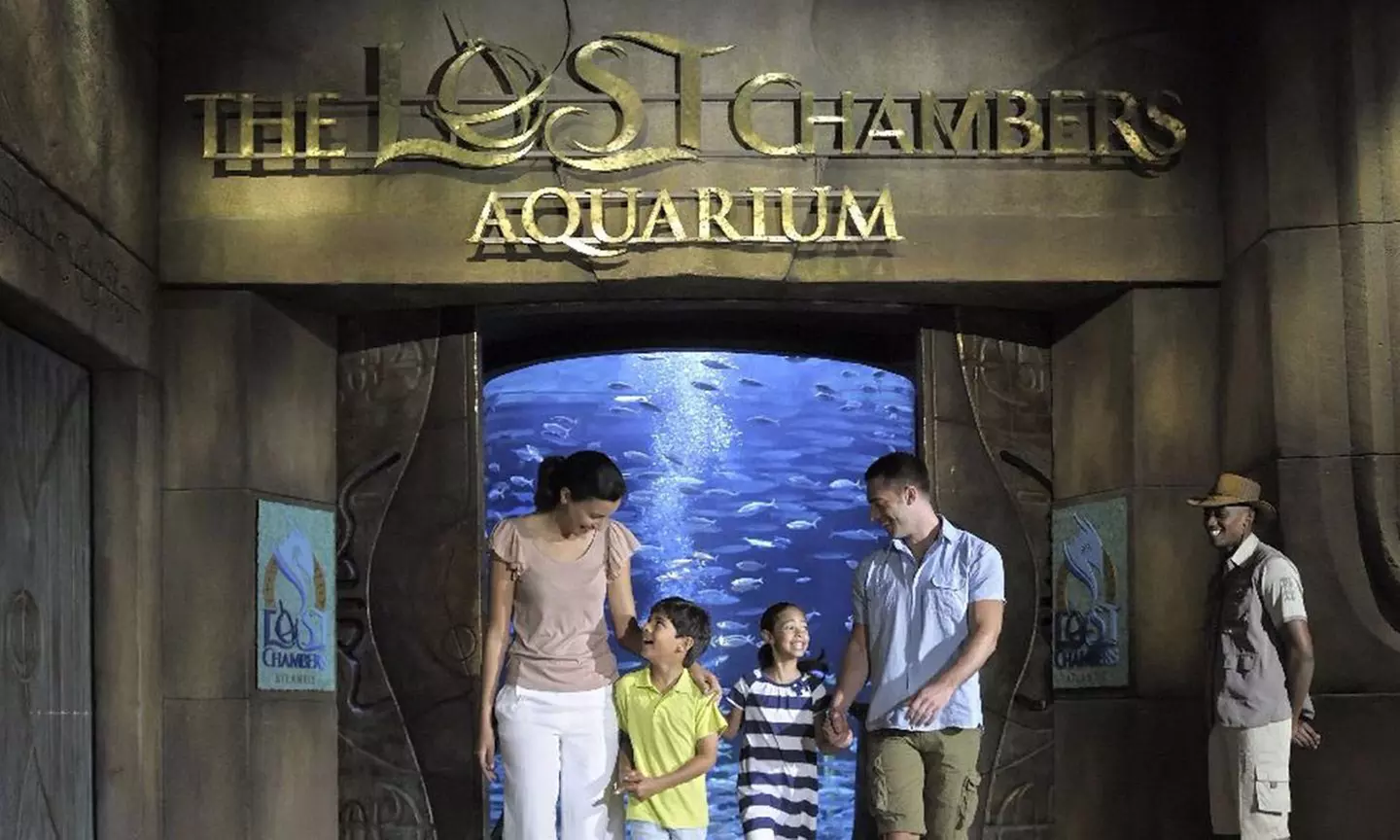 Pass Explorer Dubai & Abu Dhabi : 3, 5 ou 7 activités au choix