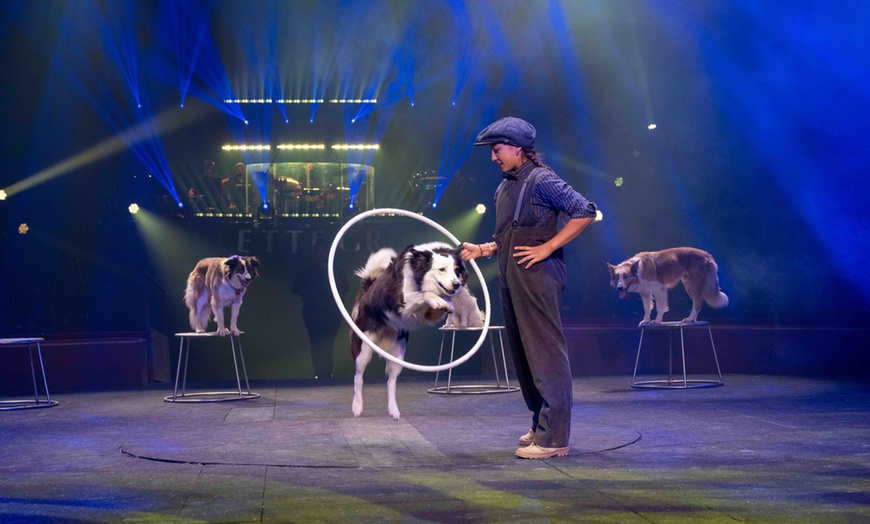 Image 3: Le spectacle "Parenthèse" du Cirque Arlette Gruss à Aix-les-Bains