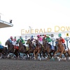 Image 1: Saddle Up for Thrills: Admission for One for Emerald Downs Racing 2025