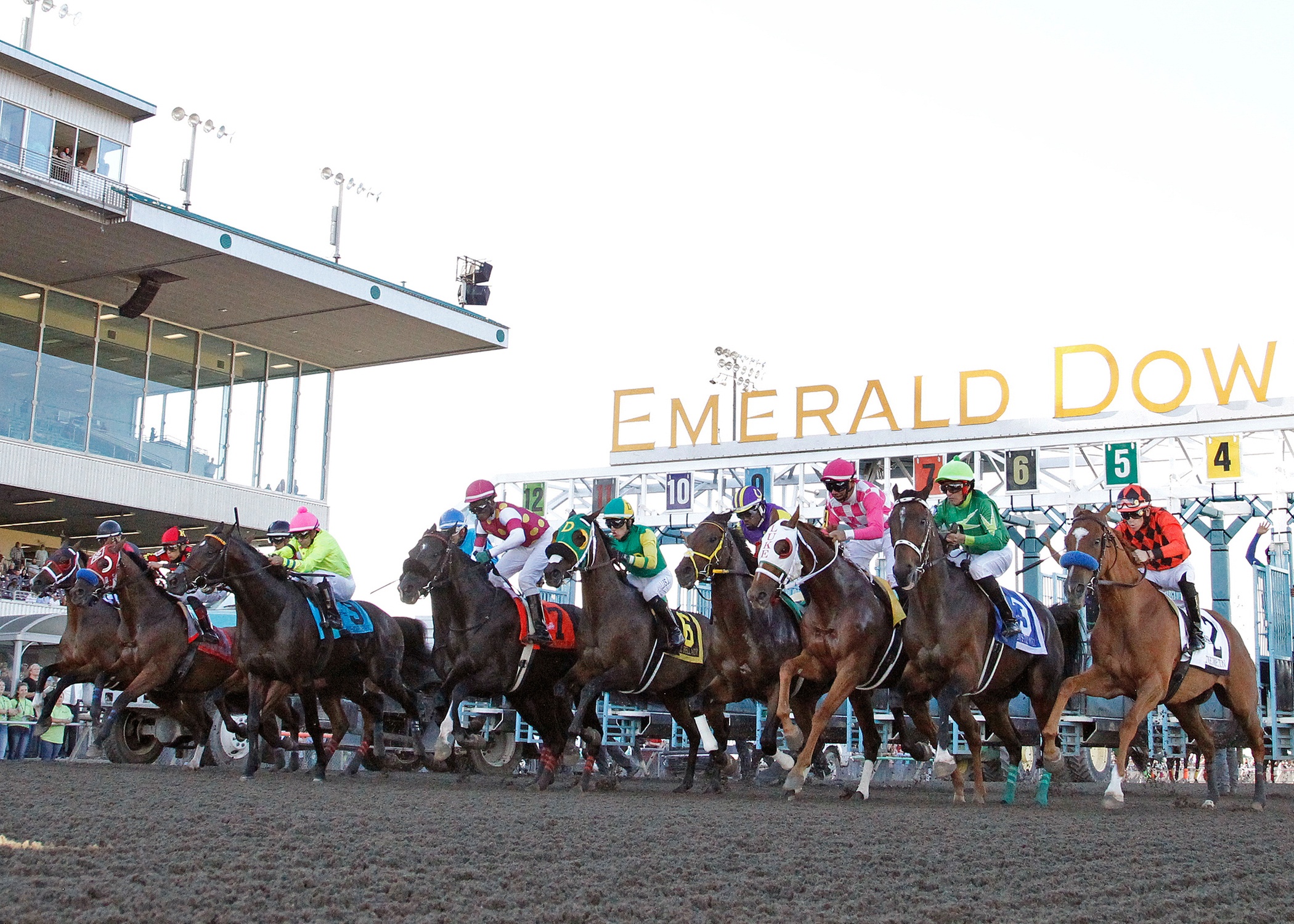 Saddle Up for Thrills: Admission for One for Emerald Downs Racing 2025