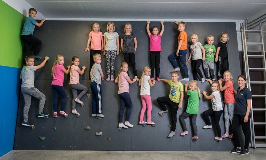 Image 5: Ultimate Ninja Obstacle Courses & Indoor Play - Noblesville