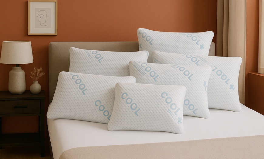 Image 1: Sampur kussens